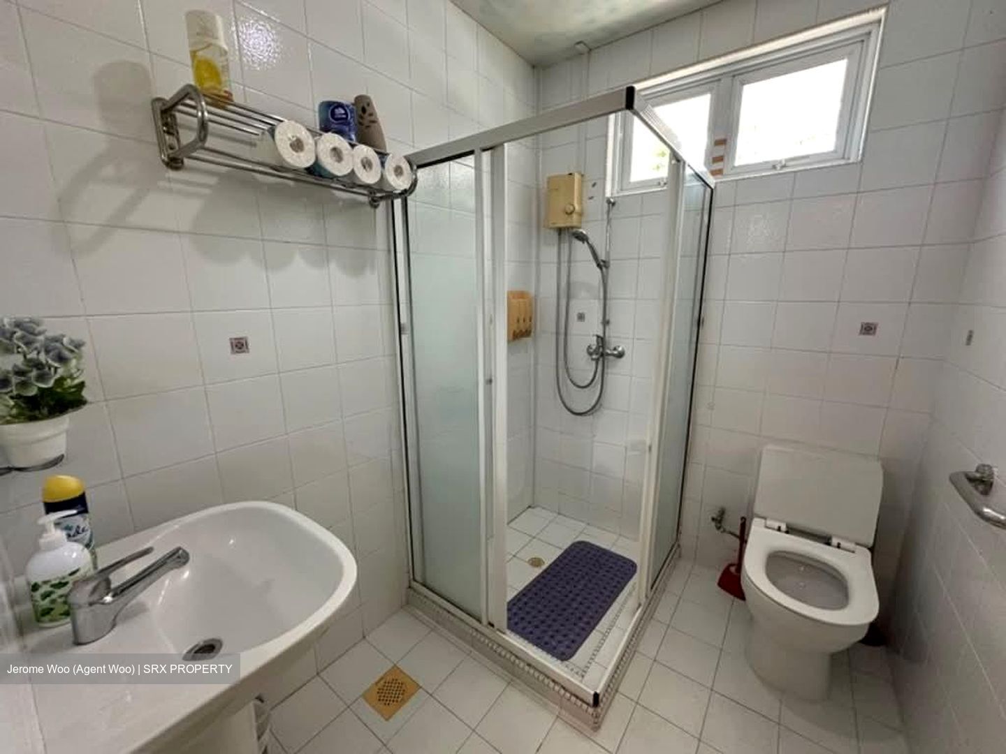 Seletar Hills Estate (D28), Semi-Detached #541186281